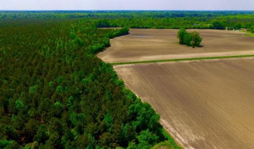 Photo of UNDER CONTRACT!  130 Acres of Prime Farm and Commercial Land For Sale in Jones County NC!