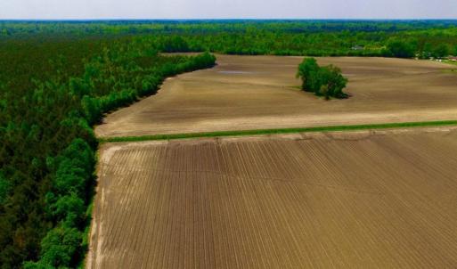 Photo of UNDER CONTRACT!  130 Acres of Prime Farm and Commercial Land For Sale in Jones County NC!
