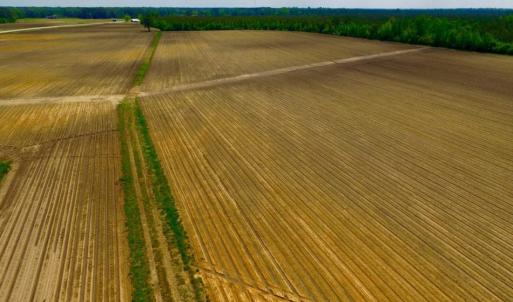 Photo of UNDER CONTRACT!  130 Acres of Prime Farm and Commercial Land For Sale in Jones County NC!