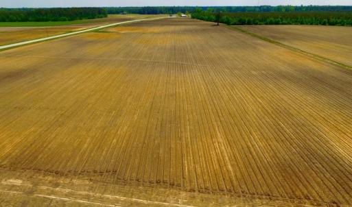 Photo of UNDER CONTRACT!  130 Acres of Prime Farm and Commercial Land For Sale in Jones County NC!
