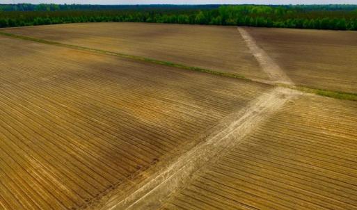 Photo of UNDER CONTRACT!  130 Acres of Prime Farm and Commercial Land For Sale in Jones County NC!