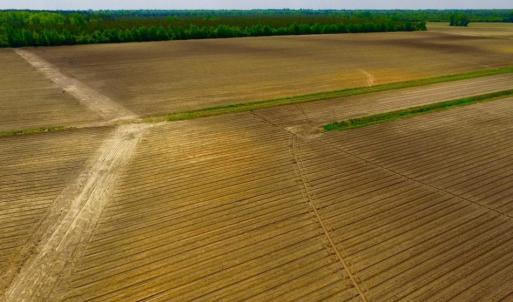 Photo of UNDER CONTRACT!  130 Acres of Prime Farm and Commercial Land For Sale in Jones County NC!