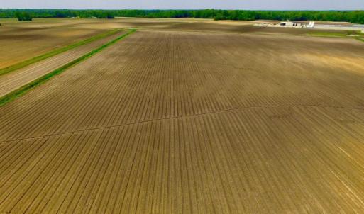 Photo of UNDER CONTRACT!  130 Acres of Prime Farm and Commercial Land For Sale in Jones County NC!