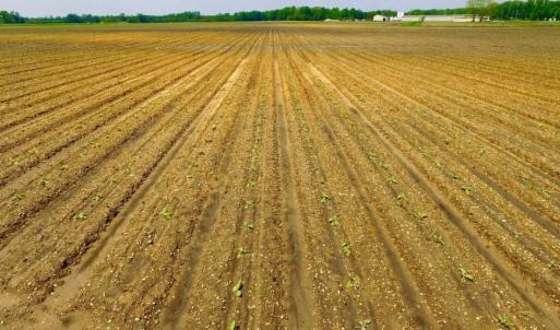 Photo of UNDER CONTRACT!  130 Acres of Prime Farm and Commercial Land For Sale in Jones County NC!