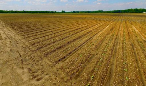 Photo of UNDER CONTRACT!  130 Acres of Prime Farm and Commercial Land For Sale in Jones County NC!