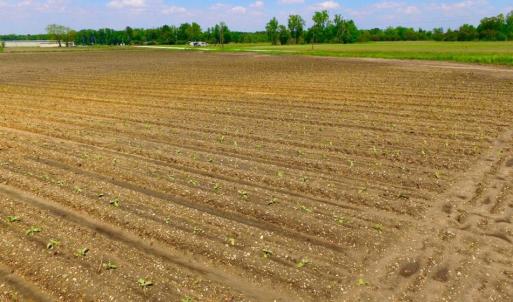 Photo of UNDER CONTRACT!  130 Acres of Prime Farm and Commercial Land For Sale in Jones County NC!
