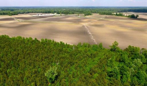 Photo of UNDER CONTRACT!  130 Acres of Prime Farm and Commercial Land For Sale in Jones County NC!