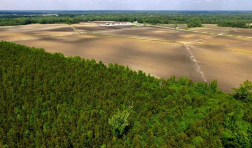 Photo of UNDER CONTRACT!  130 Acres of Prime Farm and Commercial Land For Sale in Jones County NC!