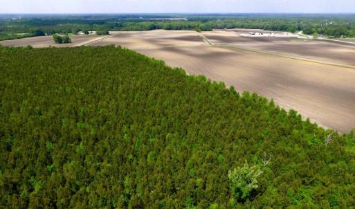 Photo of UNDER CONTRACT!  130 Acres of Prime Farm and Commercial Land For Sale in Jones County NC!