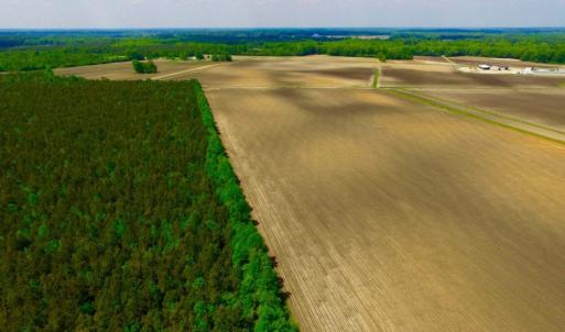 Photo of UNDER CONTRACT!  130 Acres of Prime Farm and Commercial Land For Sale in Jones County NC!