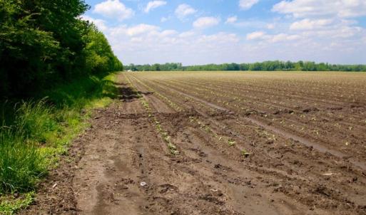 Photo of UNDER CONTRACT!  130 Acres of Prime Farm and Commercial Land For Sale in Jones County NC!