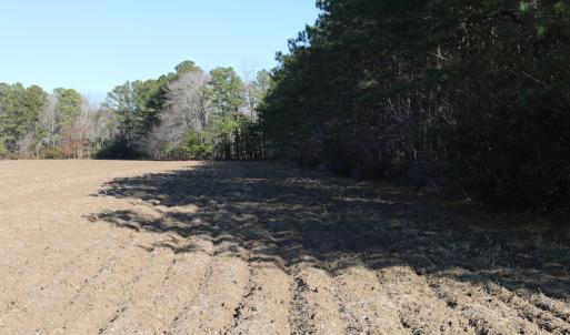 Photo of UNDER CONTRACT!  40 Acres of Residential Hunting Land For Sale in Accomack County VA!