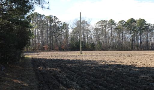 Photo of UNDER CONTRACT!  40 Acres of Residential Hunting Land For Sale in Accomack County VA!