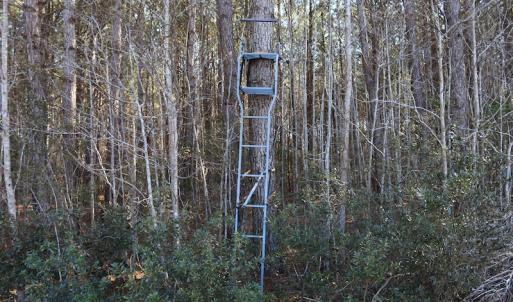 Photo of UNDER CONTRACT!  40 Acres of Residential Hunting Land For Sale in Accomack County VA!