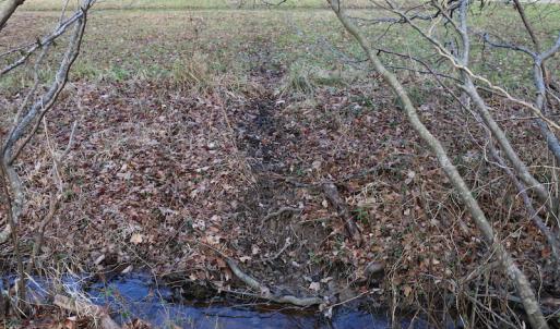 Photo of UNDER CONTRACT!  40 Acres of Residential Hunting Land For Sale in Accomack County VA!