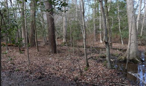 Photo of UNDER CONTRACT!  40 Acres of Residential Hunting Land For Sale in Accomack County VA!