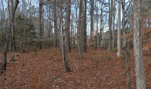 Photo of UNDER CONTRACT!  40 Acres of Residential Hunting Land For Sale in Accomack County VA!