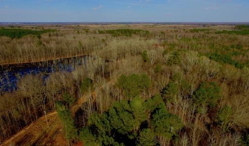 Photo of UNDER CONTRACT!  11.4 Acres of Hunting Land with Duck Swamp For Sale in Halifax County NC!