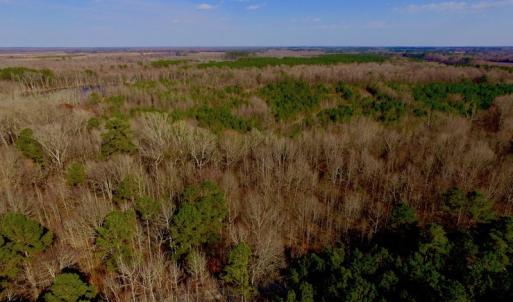 Photo of UNDER CONTRACT!  11.4 Acres of Hunting Land with Duck Swamp For Sale in Halifax County NC!