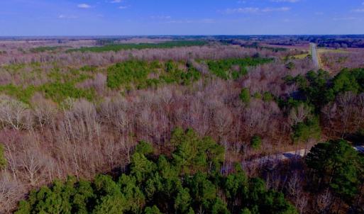 Photo of UNDER CONTRACT!  11.4 Acres of Hunting Land with Duck Swamp For Sale in Halifax County NC!