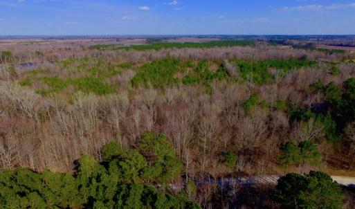 Photo of UNDER CONTRACT!  11.4 Acres of Hunting Land with Duck Swamp For Sale in Halifax County NC!