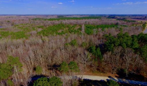 Photo of UNDER CONTRACT!  11.4 Acres of Hunting Land with Duck Swamp For Sale in Halifax County NC!