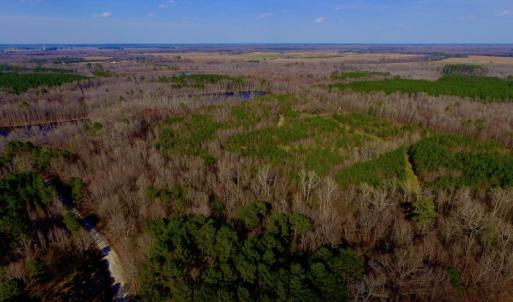 Photo of UNDER CONTRACT!  11.4 Acres of Hunting Land with Duck Swamp For Sale in Halifax County NC!