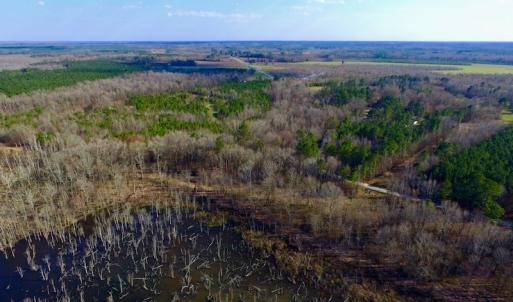 Photo of UNDER CONTRACT!  11.4 Acres of Hunting Land with Duck Swamp For Sale in Halifax County NC!