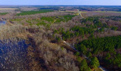 Photo of UNDER CONTRACT!  11.4 Acres of Hunting Land with Duck Swamp For Sale in Halifax County NC!
