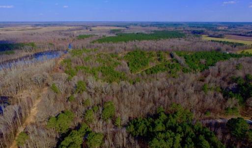 Photo of UNDER CONTRACT!  11.4 Acres of Hunting Land with Duck Swamp For Sale in Halifax County NC!