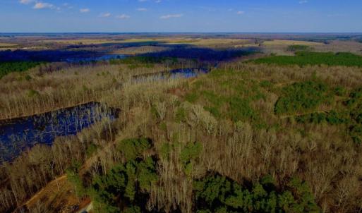 Photo of UNDER CONTRACT!  11.4 Acres of Hunting Land with Duck Swamp For Sale in Halifax County NC!
