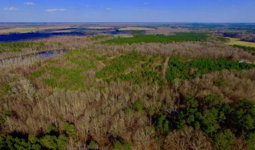 Photo of UNDER CONTRACT!  11.4 Acres of Hunting Land with Duck Swamp For Sale in Halifax County NC!