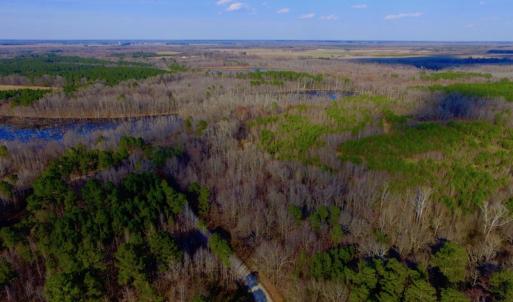 Photo of UNDER CONTRACT!  11.4 Acres of Hunting Land with Duck Swamp For Sale in Halifax County NC!