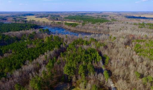 Photo of UNDER CONTRACT!  11.4 Acres of Hunting Land with Duck Swamp For Sale in Halifax County NC!