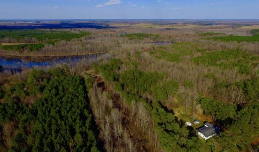 Photo of UNDER CONTRACT!  11.4 Acres of Hunting Land with Duck Swamp For Sale in Halifax County NC!