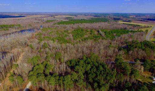 Photo of UNDER CONTRACT!  11.4 Acres of Hunting Land with Duck Swamp For Sale in Halifax County NC!