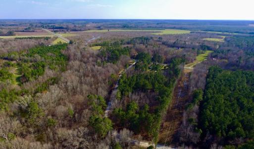 Photo of UNDER CONTRACT!  11.4 Acres of Hunting Land with Duck Swamp For Sale in Halifax County NC!