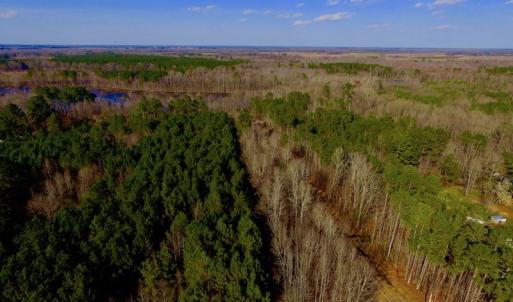 Photo of UNDER CONTRACT!  11.4 Acres of Hunting Land with Duck Swamp For Sale in Halifax County NC!