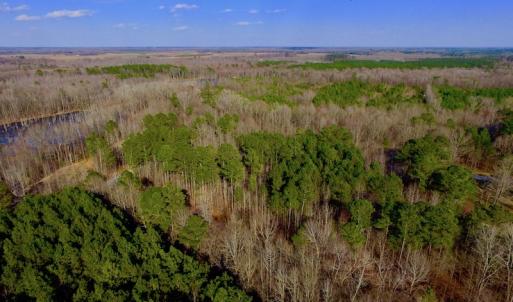 Photo of UNDER CONTRACT!  11.4 Acres of Hunting Land with Duck Swamp For Sale in Halifax County NC!