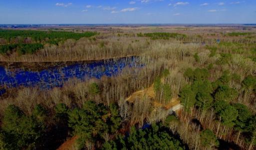Photo of UNDER CONTRACT!  11.4 Acres of Hunting Land with Duck Swamp For Sale in Halifax County NC!