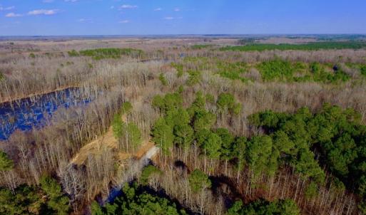 Photo of UNDER CONTRACT!  11.4 Acres of Hunting Land with Duck Swamp For Sale in Halifax County NC!