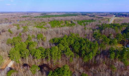 Photo of UNDER CONTRACT!  11.4 Acres of Hunting Land with Duck Swamp For Sale in Halifax County NC!