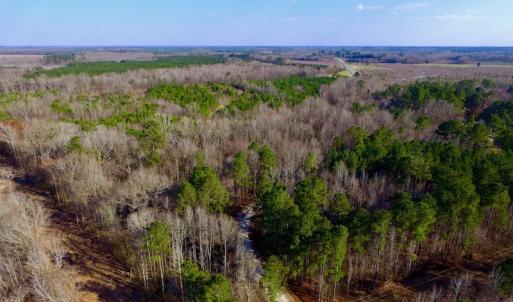 Photo of UNDER CONTRACT!  11.4 Acres of Hunting Land with Duck Swamp For Sale in Halifax County NC!
