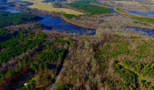 Photo of UNDER CONTRACT!  11.4 Acres of Hunting Land with Duck Swamp For Sale in Halifax County NC!