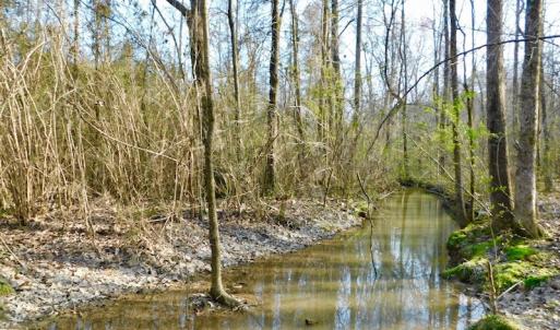 Photo of UNDER CONTRACT!  11.4 Acres of Hunting Land with Duck Swamp For Sale in Halifax County NC!