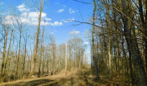 Photo of UNDER CONTRACT!  11.4 Acres of Hunting Land with Duck Swamp For Sale in Halifax County NC!