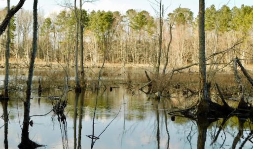 Photo of UNDER CONTRACT!  11.4 Acres of Hunting Land with Duck Swamp For Sale in Halifax County NC!