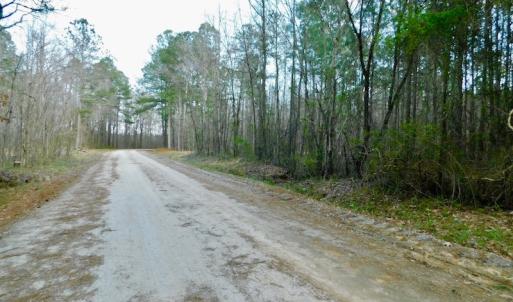 Photo of UNDER CONTRACT!  11.4 Acres of Hunting Land with Duck Swamp For Sale in Halifax County NC!