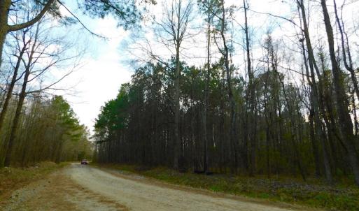 Photo of UNDER CONTRACT!  11.4 Acres of Hunting Land with Duck Swamp For Sale in Halifax County NC!