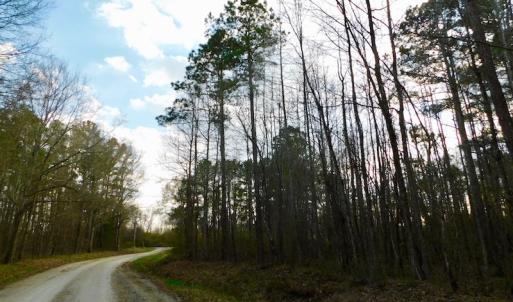 Photo of UNDER CONTRACT!  11.4 Acres of Hunting Land with Duck Swamp For Sale in Halifax County NC!